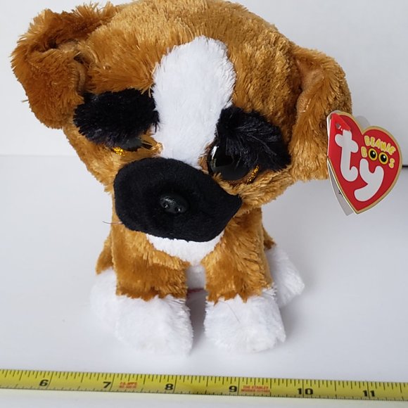 Other - Ty Beanie Boo Brutus the Boxer